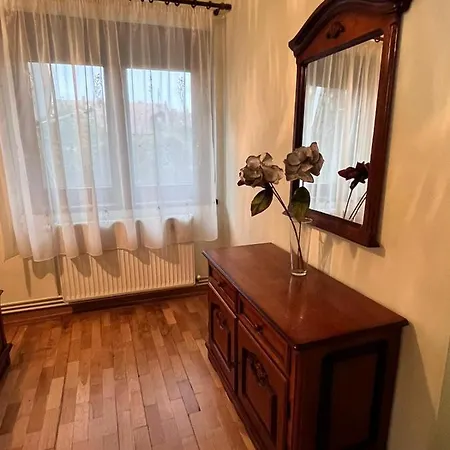 Union Square Irene's Apartment Timisoara