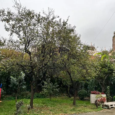 Apartment Union Square Irene's Timisoara